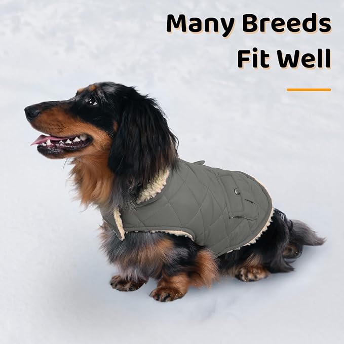 Queenmore Dog Winter Coat - Fleece Jacket, Waterproof Cold Weather Clothes, Thick Warm Cotton Padding, Easy On/Off Storage Pockets (Grey, X-Small)
