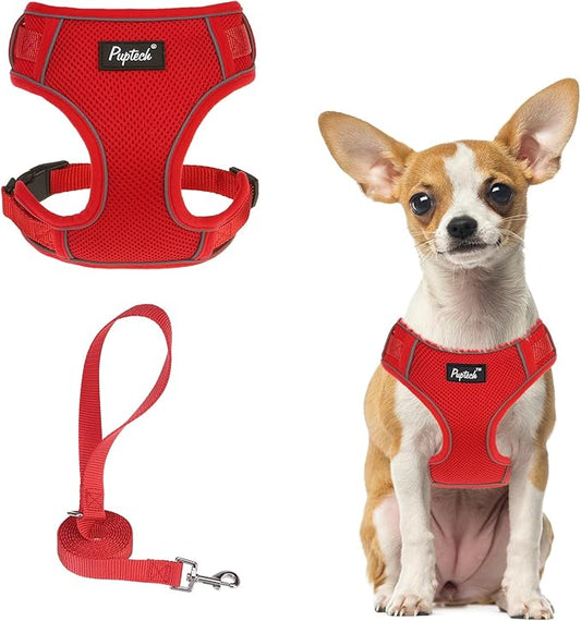 PUPTECK Small Dog Harness and Leash Set, No Pull Adjustable Puppy Cat Harness, Reflective Soft Mesh Pet Vest Small Sized