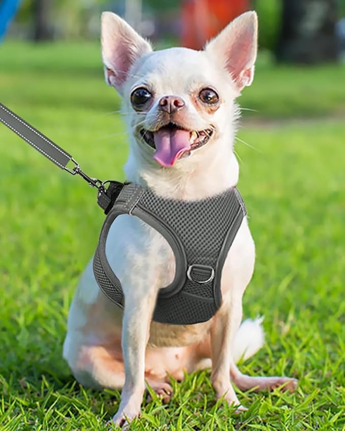 Joytale Small Dog Harness, Breathable Mesh Step-in Vest, Reflective Soft Padded Harnesses for Puppies and Extra Small Dogs, Gray, XS