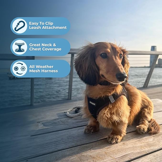Best Pet Supplies Voyager Step-in Air Harness - All Weather Mesh, Reflective, No Pull Harness for Dogs, Cats - Secure with Hook & Loop Fastener, Buckle, Double D-Rings - Black, M