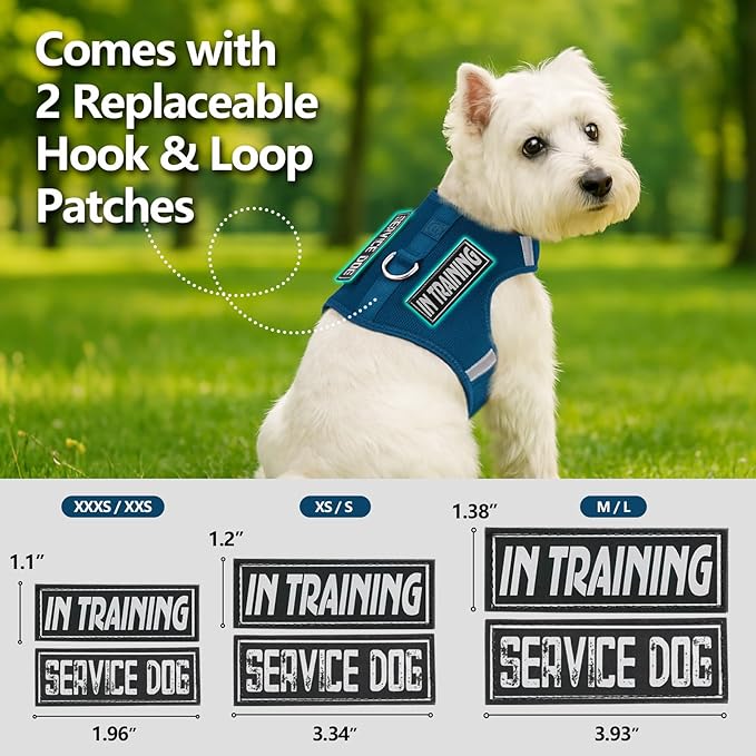 Dog Harness for Puppy – Adjustable Reflective Easy Put On Soft Mesh Vest for Small Dogs with 2 Patches (Prussian Blue,XS)