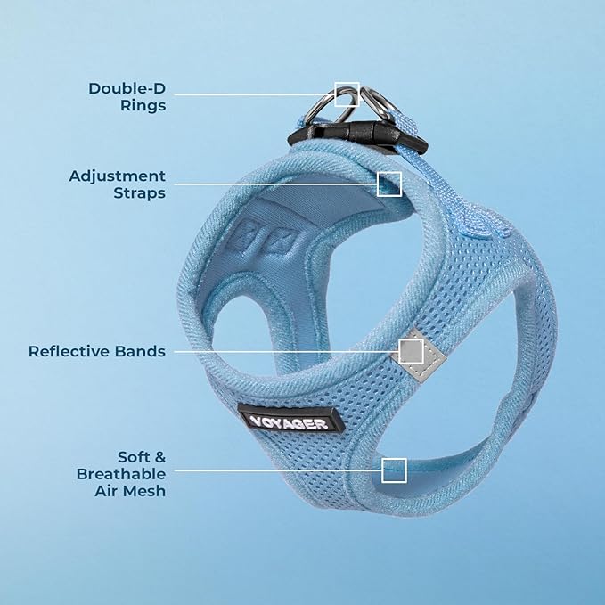 Best Pet Supplies Voyager Step-in Air Harness - All Weather Mesh, Reflective, No Pull Harness for Dogs, Cats - Secure with Hook & Loop Fastener, Buckle, Double D-Rings - Baby Blue, S