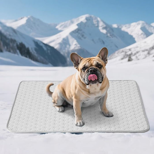 Soulbond Cooling Mat for Large Dogs - 29"x40" Washable Cooling Pad for Dogs & Cats, QMAX>0.3, Anti-Slip Bottom, Portable Summer Cool Pet Bed Pad for Outdoor/Indoor/Cars/Travel Use, Light Gray