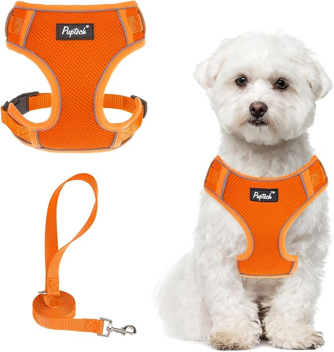 PUPTECK Small Dog Harness and Leash Set, No Pull Adjustable Puppy Cat Harness, Reflective Soft Mesh Pet Vest Small Sized