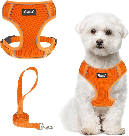 PUPTECK Small Dog Harness and Leash Set, No Pull Adjustable Puppy Cat Harness, Reflective Soft Mesh Pet Vest Small Sized