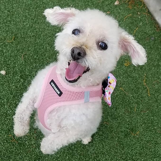 Voyager Step-In Air Dog Harness by Best Pet Supplies - All Weather Mesh Step in Vest Harness for Small and Medium Dogs, Pink, size L - Chest: 18 - 20.5"