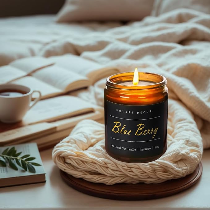 Blue Berry Candles for Home Scented, Natural Soy Aromatherapy Non Toxic Candles with Long Lasting Fragrance & Clean Burn, Luxury Jar Candle Gift for Women, Men, Home Decoration 9oz