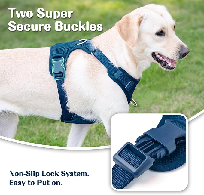 No Pull Dog Harness for Small Medium Large Dogs - Adjustable Two-Layer Mesh Dog Vest with Dual Clip, Escape Proof, Quick Release, Lightweight Breathable Mesh for Walking Hiking (Prussian Blue,XL)