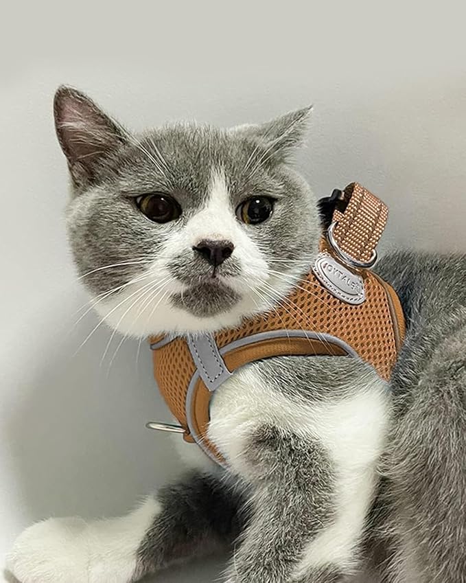 Joytale Small Dog Harness, Breathable Mesh Step-in Vest, Reflective Soft Padded Harnesses for Cats and Puppies Dogs, Brown, XXXS