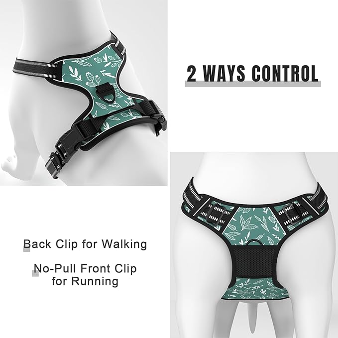 Rnivvi No Pull Dog Harness, Cute Reflective X-Large Sized Puppy Harness, Adjustable Soft Padded Vest for Large Dogs, Heavy Duty Pet Vest with Easy Control Handle for Walking Training, Green Leaves