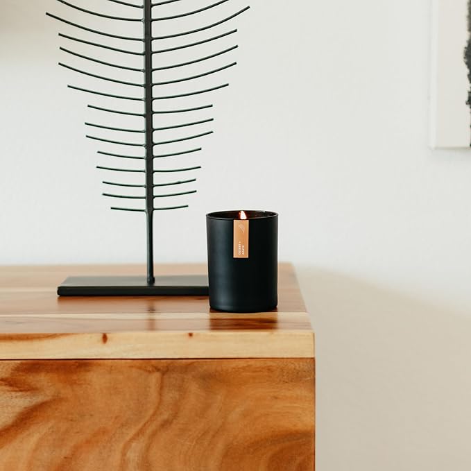 Calyan Wax Co. Desert & Agave Scented Candle - 75 Hour Burn - Luxury Non Toxic Soy Wax Candles - Long Lasting Black Tumbler Jar Candle for Home - 10.2oz