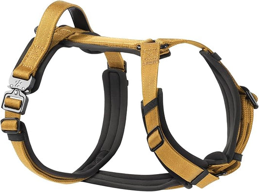 PawsPassion Dog Harness for X-Large Dogs, No Pull Dog Harness Easy Walk with Metal Hardware, Ergonomic Y-Shaped Design, Soft Padding, Padded Handle, Durable High-Tensile Nylon (Sunrise, XL)