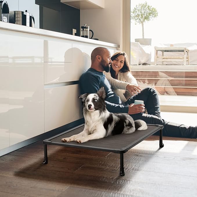 Veehoo Chewproof Elevated Dog Bed - Cooling Raised Pet Cot, Breathable Mesh, Washable & Non-Slip for Medium Dogs, Indoor/Outdoor, Brown Mat and Black Frame, 32x25inches (Model CWC2203A03)