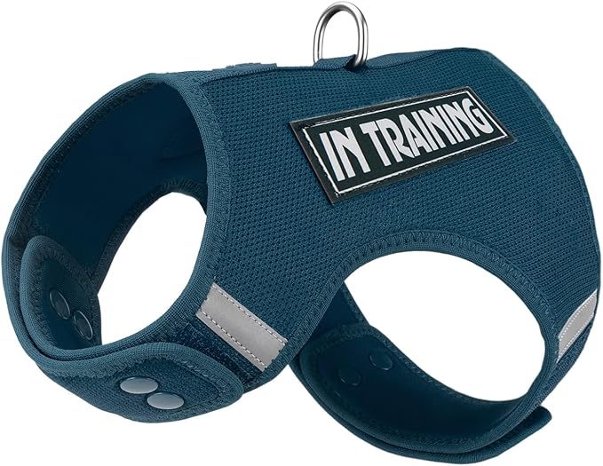 Dog Harness for Puppy – Adjustable Reflective Easy Put On Soft Mesh Vest for Small Dogs with 2 Patches (Prussian Blue,M)