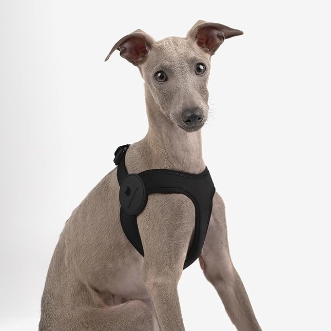 Ultra Comfortable Dog Harness Adjustable Soft Dog Vest, Alloy Buckle Closure Lightweight Stretchy Puppy Harness Step in for Small Sized Dogs Walking Training (Midnight Black, L 18.9-20.8")