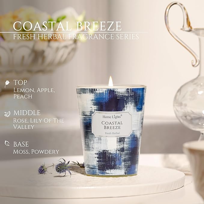 HomeLights Large jar Candle | 1-Wick Long-Lasting Scented Candles, 6.7oz Natural Soy Wax Candle for Home Scented, Scandinavian Minimalist Design Gifts for Women & Men, Coastal Breeze