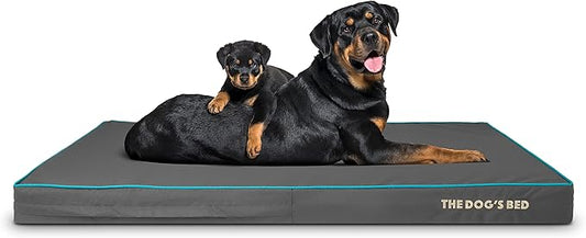The Dog’s Bed Orthopedic Memory Foam Dog Bed, XXL Grey/Blue 54x36x4, Pain Relief for Arthritis, Hip & Elbow Dysplasia, Post Surgery, Lameness, Supportive, Calming, Waterproof Washable Cover