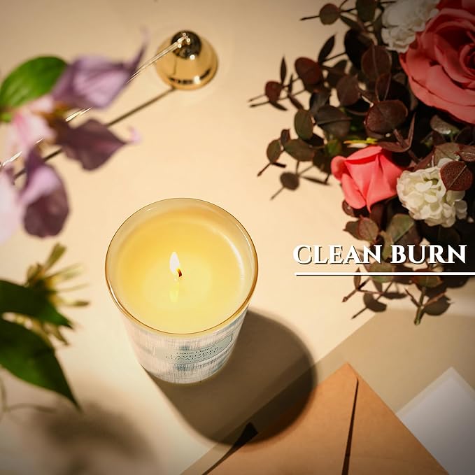 HomeLights Soy Wax Candles for Home Scented, 1-Wick Candles in Lavender Eucalyptus Scented, Aromatherapy Candles Gift for Parties, Relaxing, Scandinavian Minimalist Design, 6.7oz