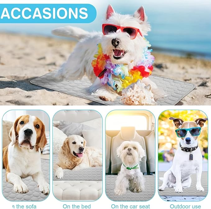 Dog Cooling Mat for Indoor & Outdoor - Reversible Pet Coolings Pad with Ice Silk, 3 Sizes (XS-L) - Cooling Blanket for Dogs & Cats (Blue, X-Small)