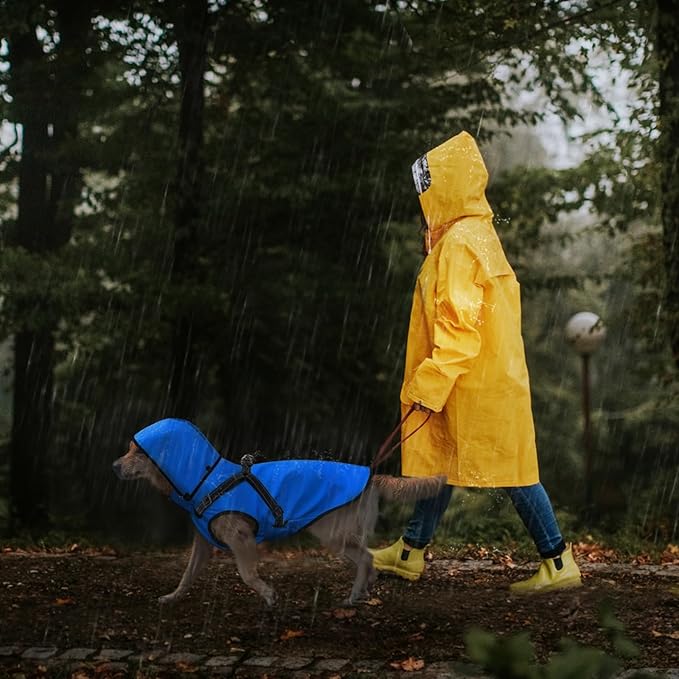 Mosucoirl Dog Raincoat Waterproof Dog Hoodie Reflective Doggie Raincoat Hooded Adjustable Rain Jacket for Small Medium Large Dogs Puppies Doggie Black Red Yellow Green (Blue, XL)