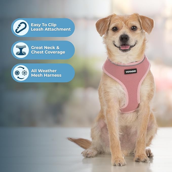 Best Pet Supplies Voyager Aerolite No Pull Mesh Dog Harness, Reflective Stitching, Breathable Harness, Adjustable for Walking, Training, Running, Heavy Duty and Durable, Baby Pink, M