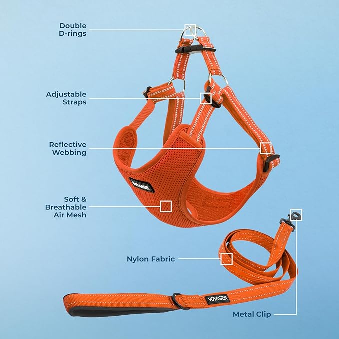 Best Pet Supplies Voyager Adjustable Dog Harness Leash Set with Reflective Stripes for Walking Heavy-Duty Full Body No Pull Vest with Leash D-Ring, Breathable All-Weather - Orange, XL