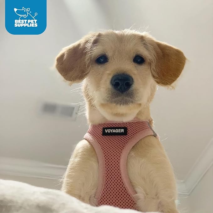 Best Pet Supplies Voyager Step-in Air Harness - All Weather Mesh, Reflective, No Pull Harness for Dogs, Cats - Secure with Hook & Loop Fastener, Buckle, Double D-Rings - Pink, M