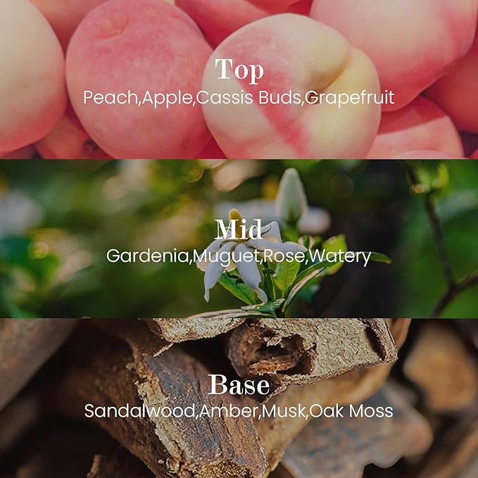 M&SENSE Natural Soy Candle| Pink Jasmine Blossom | 16.6 oz, 95H Burn | Minimalist Christmas Scented Candle for Relaxation, Gifting, Home Décor | for Bedroom, Office, Party Large