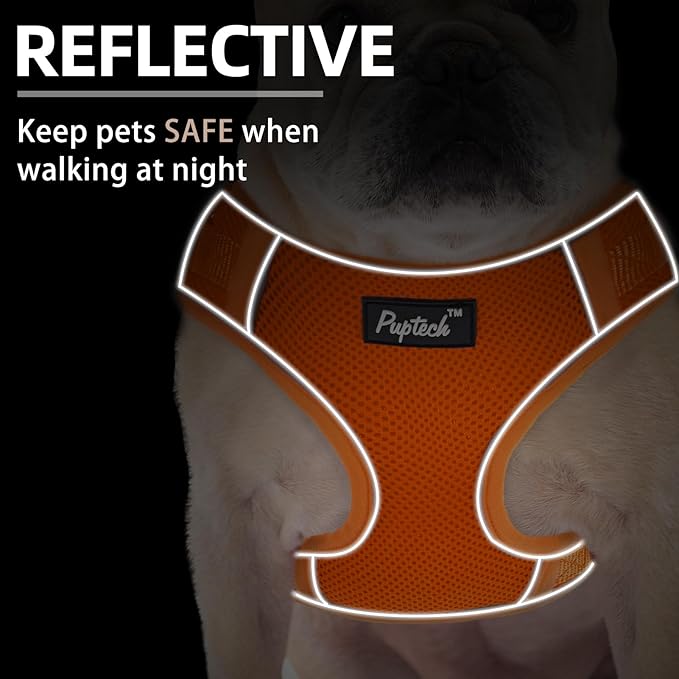 PUPTECK Small Dog Harness and Leash Set, No Pull Adjustable Puppy Cat Harness, Reflective Soft Mesh Pet Vest Small Sized