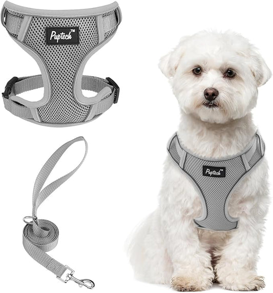 PUPTECK Small Dog Harness and Leash Set, No Pull Adjustable Puppy Cat Harness, Reflective Soft Mesh Pet Vest Small Sized