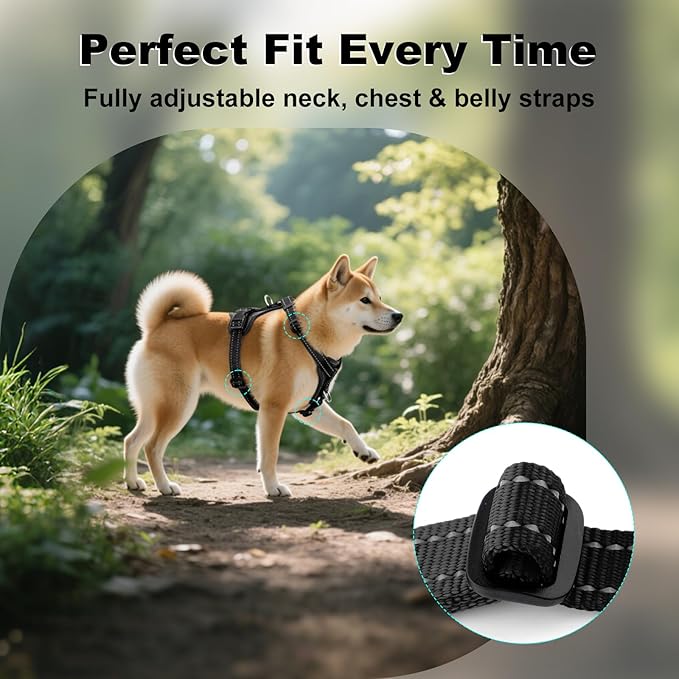 Plutus Pet Adjustable No Pull Dog Harness with Leather Accents, Heavy Duty Reflective Nylon Vest for Training, Hiking, Easy Walk Harness for Small, Medium, Large Dogs (Black, M)