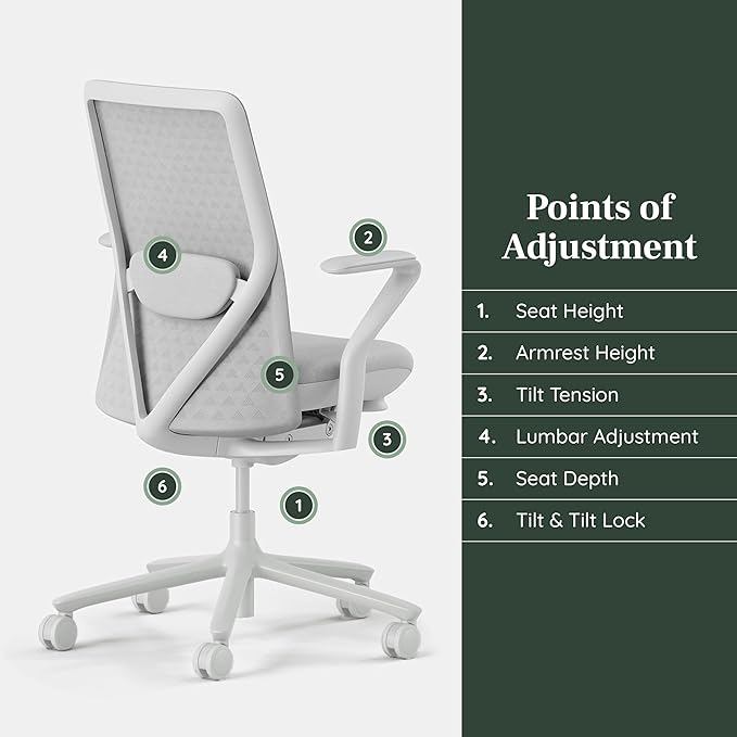 Branch Verve Chair - High Performance Executive Office Chair with Contoured Seat Back and Adjustable Lumbar Rest - High Density Foam Cushion with Aluminum Base - Up to 275 lbs - Mist