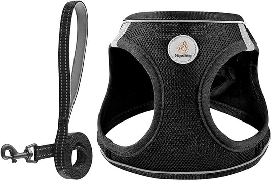 Dog Harness and Leash Set, No Pull Soft Mesh Puppy Harness for Small Medium Dogs, Cats - Step in Reflective Breathable Lightweight Vest Harness for Walking, Training - Black, XXS