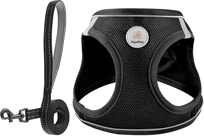 Dog Harness and Leash Set, No Pull Soft Mesh Puppy Harness for Small Medium Dogs, Cats - Step in Reflective Breathable Lightweight Vest Harness for Walking, Training - Black, M