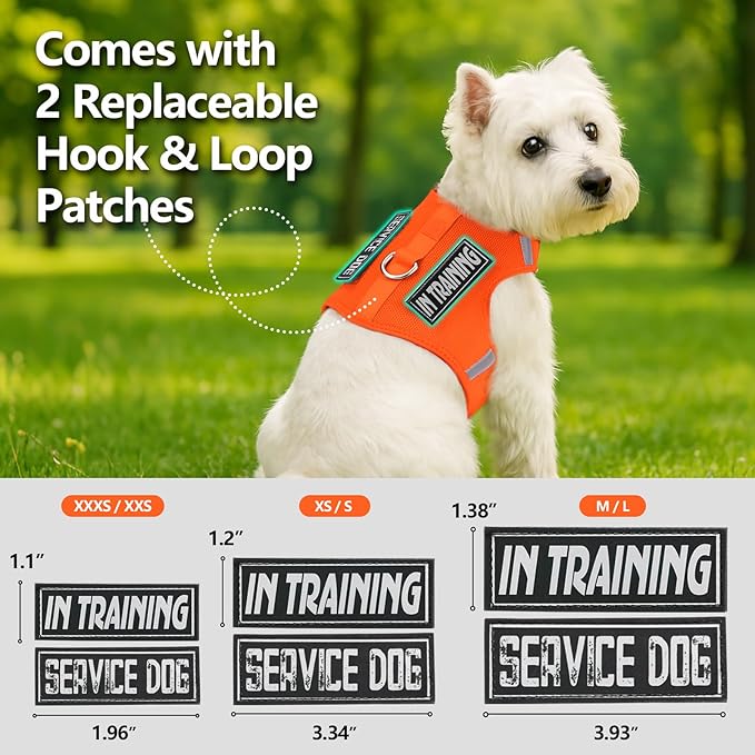 Dog Harness for Puppy – Adjustable Reflective Easy Put On Soft Mesh Vest for Small Dogs with 2 Patches (Orange,M)