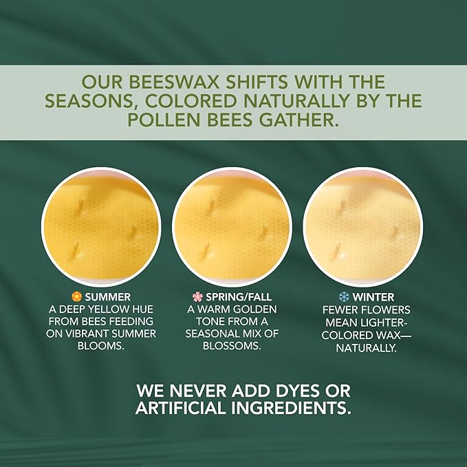 Into The Forest – Pine & Eucalyptus Essential Oils – Pure Beeswax Candle – Fresh, Calming Aromatherapy for Stress & Anxiety Relief – 90+ Hour Burn – Inspired by The Pacific Northwest - 15 Oz