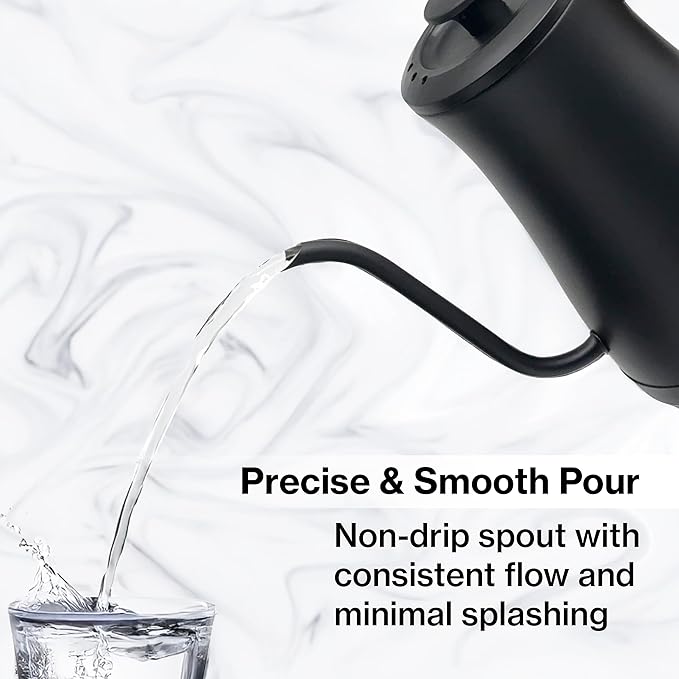 1.0L 1500W Gooseneck Electric Kettle - Stainless Steel Interior - Rapid-Boil - Auto Shut-Off, Boil-Dry Protection, Temperature Control, LED Indicator - Black by The Display Guys