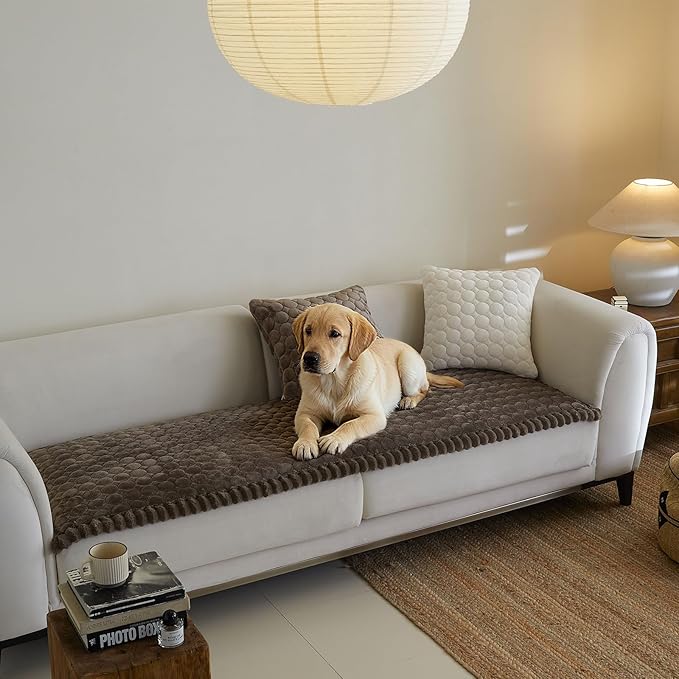 Couch Covers for 3 Cushion Couch Sofa Pet Friendly,Non-Slip Sofa Cover Washable