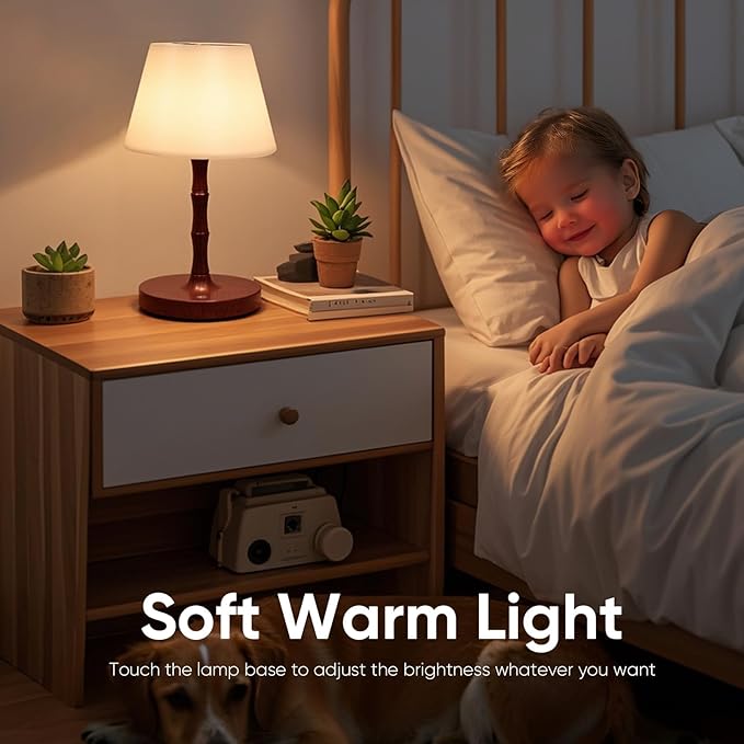 Outdoor Battery Powered Waterproof Desk lamp, Office and Bedroom Desk lamp, Bathroom LED lamp, Courtyard Camping Restaurant LED Night lamp, 4000mAh Rechargeable Battery Driven lamp (Brown)