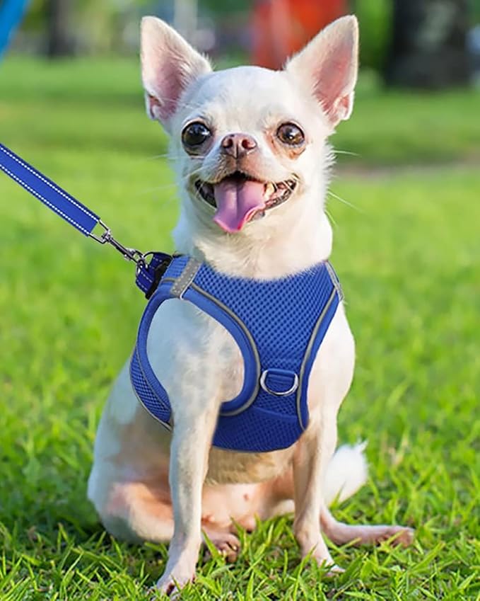 Joytale Small Dog Harness, Breathable Mesh Step-in Vest, Reflective Soft Padded Harnesses for Puppies and Extra Small Dogs, Navy Blue, XS