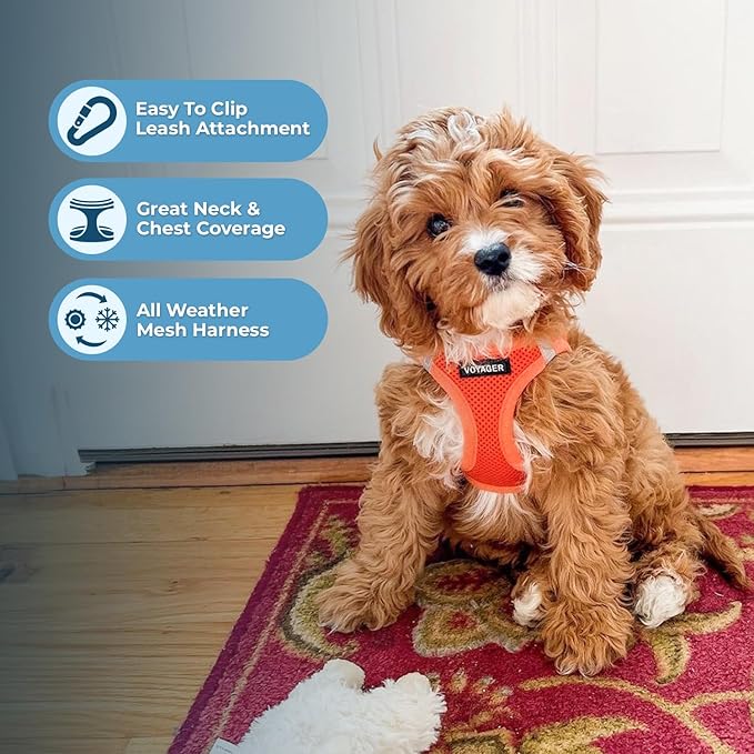 Best Pet Supplies Voyager Step-in Air Harness - All Weather Mesh, Reflective, No Pull Harness for Dogs, Cats - Secure with Hook & Loop Fastener, Buckle, Double D-Rings - Orange, S