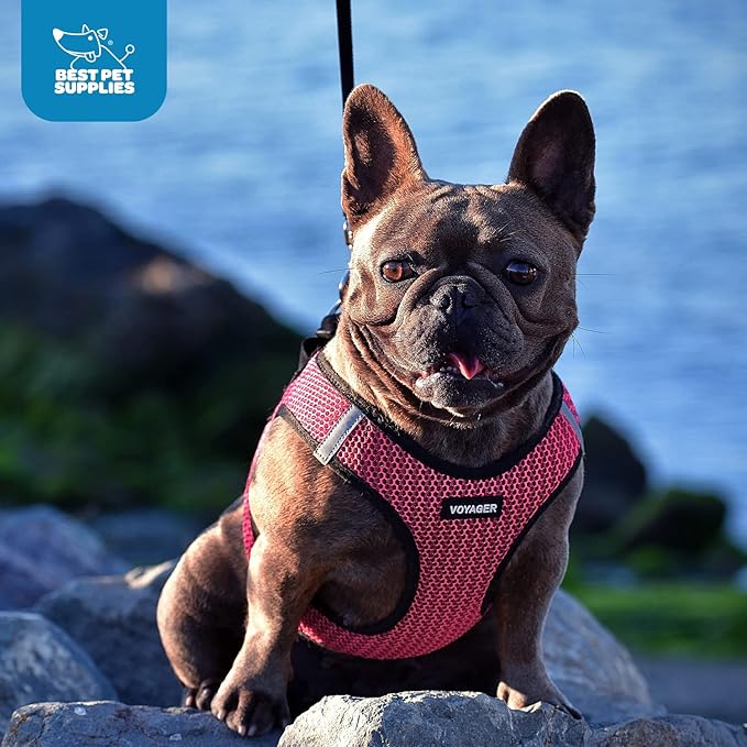 Best Pet Supplies Voyager Step-in Air Harness - All Weather Mesh, Reflective, No Pull Harness for Dogs, Cats - Secure with Hook & Loop Fastener, Buckle, Double D-Rings - Tone, XS