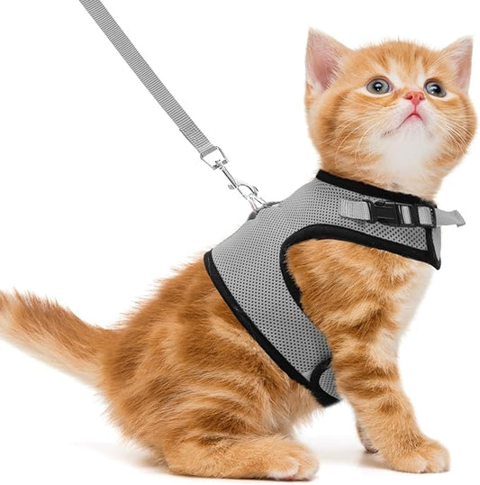 PUPTECK Soft Mesh Cat Vest Harness and Leash Set Puppy Padded Pet Harnesses Escape Proof for Cats Small Dogs Rabbits Bunny