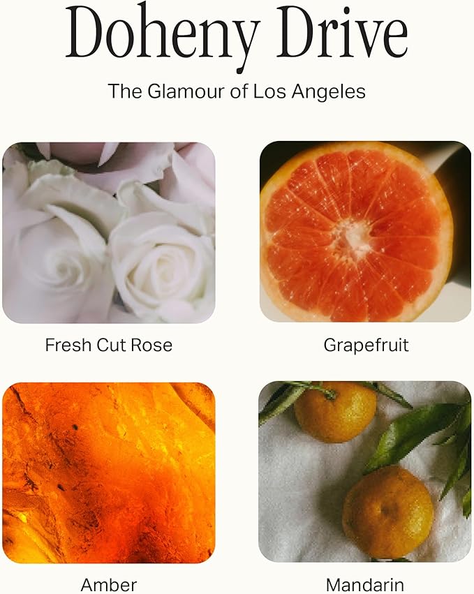 Preston Lane Complete Candle Set, 4 Double-Wick Scented Candles with Vegan, Soy Wax Blend, 7.5 Oz Each