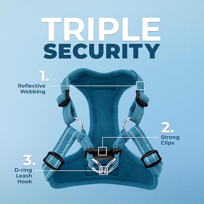 Best Pet Supplies Voyager Adjustable Dog Vest Harness Breathable No Pull Harness for Small, Medium, Large Dogs, Harness for Walking, Jogging, Easy Step-in, Reflective Stripes - Turquoise, M