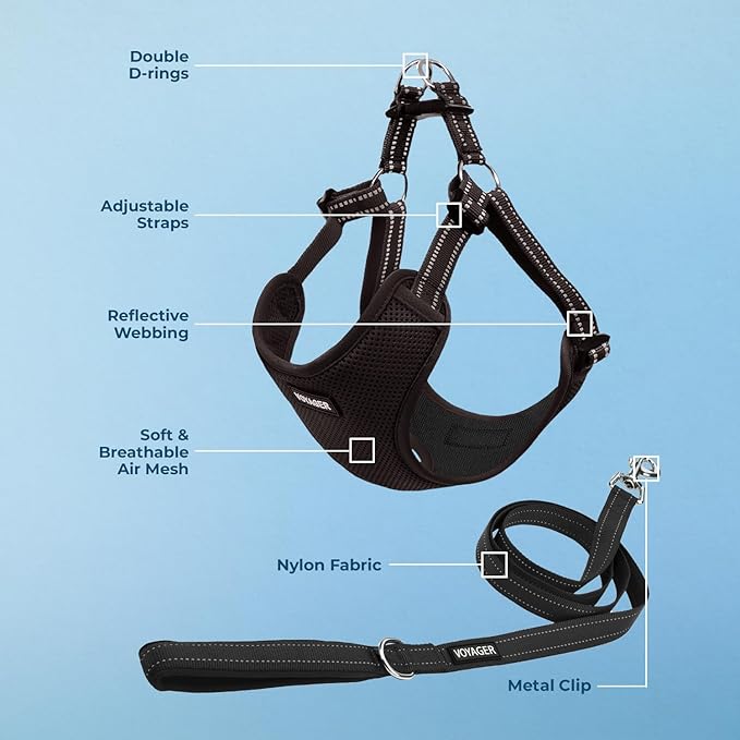Best Pet Supplies Voyager Adjustable Dog Harness Leash Set with Reflective Stripes for Walking Heavy-Duty Full Body No Pull Vest with Leash D-Ring, Breathable All-Weather - Black, XS
