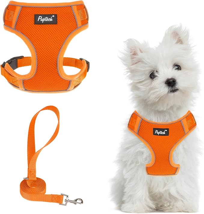 PUPTECK Small Dog Harness and Leash Set, No Pull Adjustable Puppy Cat Harness, Reflective Soft Mesh Pet Vest Small Sized
