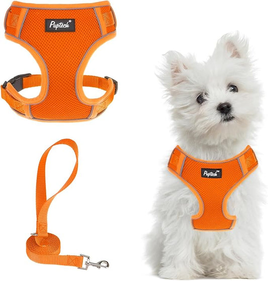 PUPTECK Small Dog Harness and Leash Set, No Pull Adjustable Puppy Cat Harness, Reflective Soft Mesh Pet Vest Small Sized