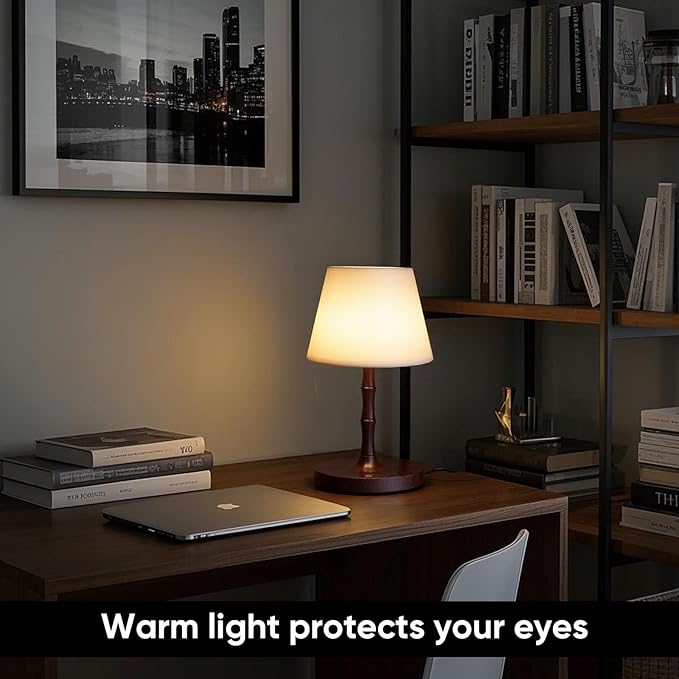 Outdoor Battery Powered Waterproof Desk lamp, Office and Bedroom Desk lamp, Bathroom LED lamp, Courtyard Camping Restaurant LED Night lamp, 4000mAh Rechargeable Battery Driven lamp (Brown)