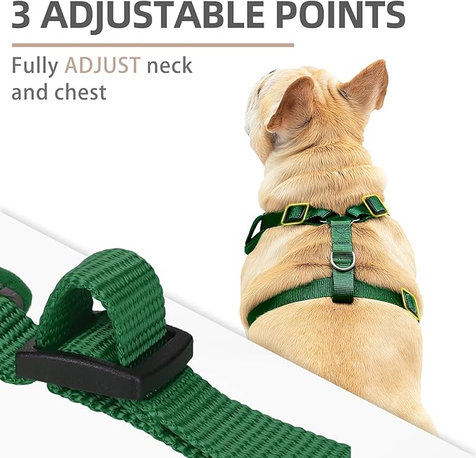 PUPTECK Christmas Small Dog Harness and Leash Set, No Pull Adjustable Puppy Cat Harness, Reflective Soft Mesh Pet Vest Small Sized, Green M